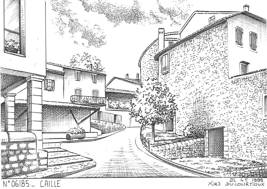 N 06185 - CAILLE - vue