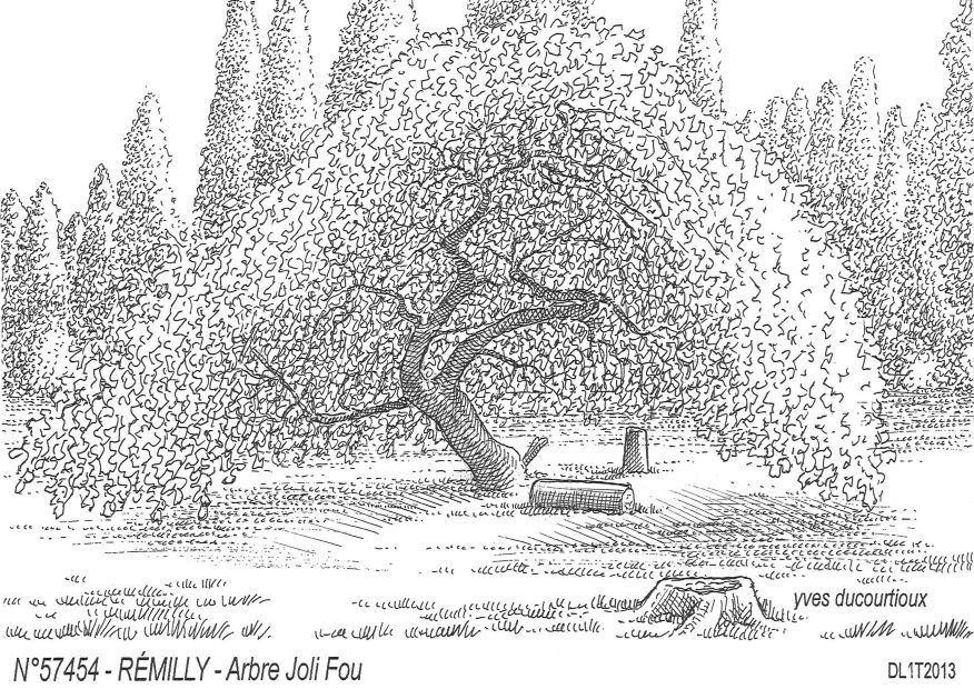 N 57454 - REMILLY - arbre joli fou