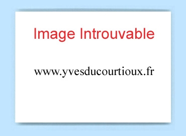 MONOCARTE N 73197-89265 - CHAMOIS - / NEUILLY - vue