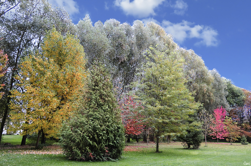 Parc de la Brune