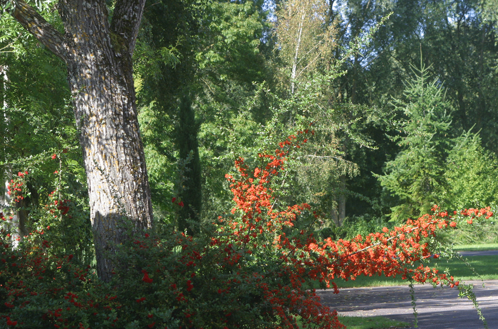 Parc de la Brune