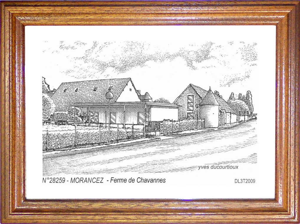 N 28259 - MORANCEZ - ferme de chavannes