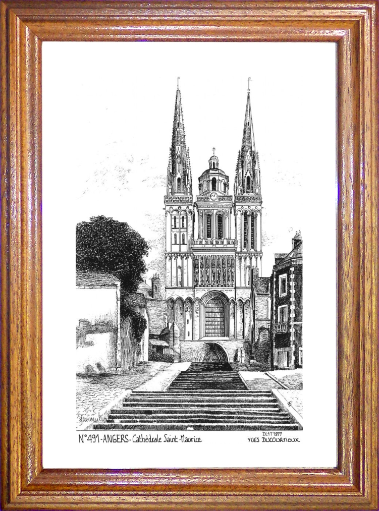 N 49001 - ANGERS - cathdrale st maurice